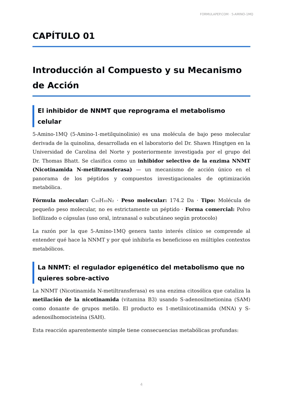 Página 3 de la monografía
