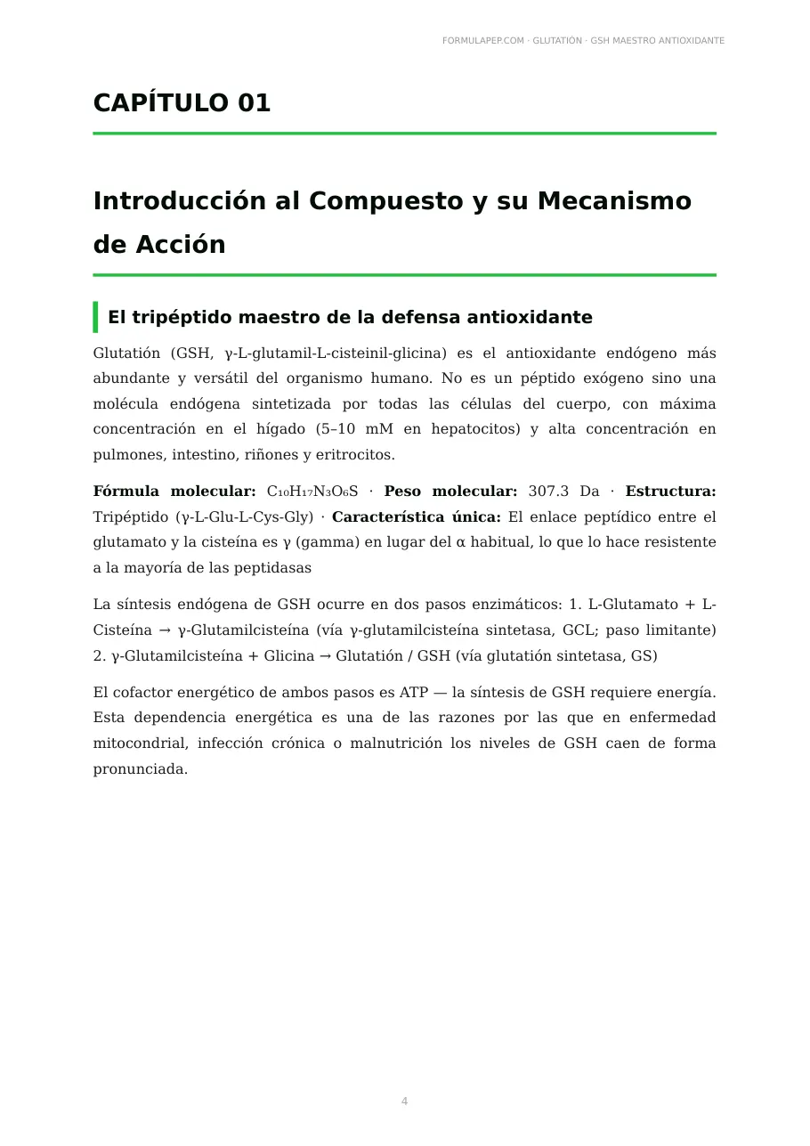 Página 3 de la monografía