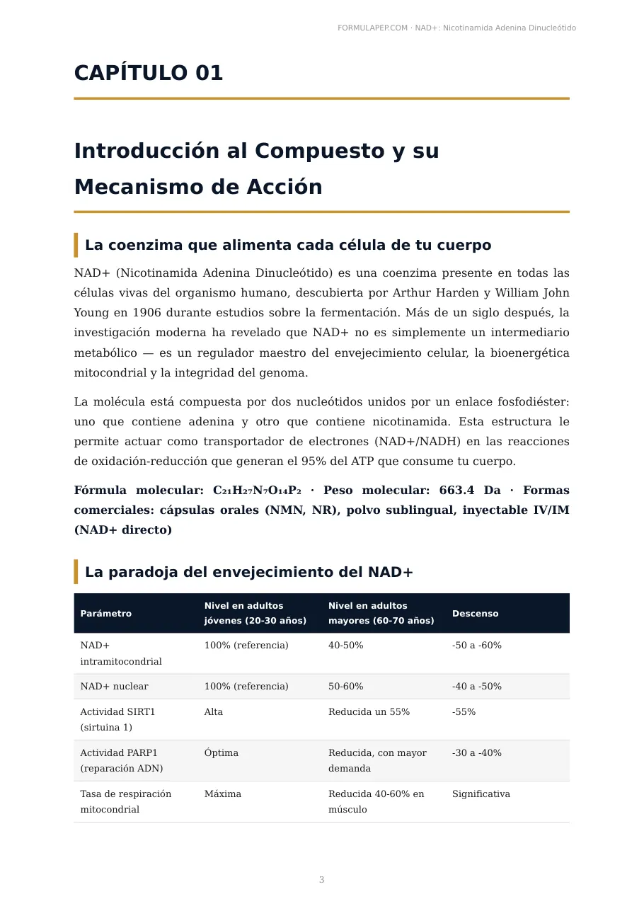 Página 3 de la monografía