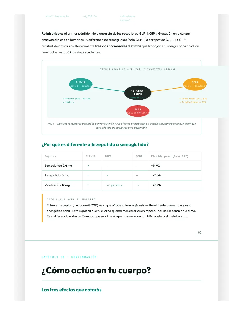 Página 3 de la monografía