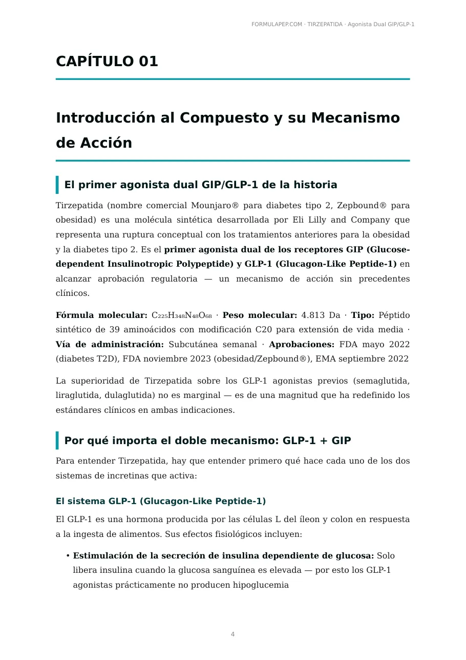 Página 3 de la monografía