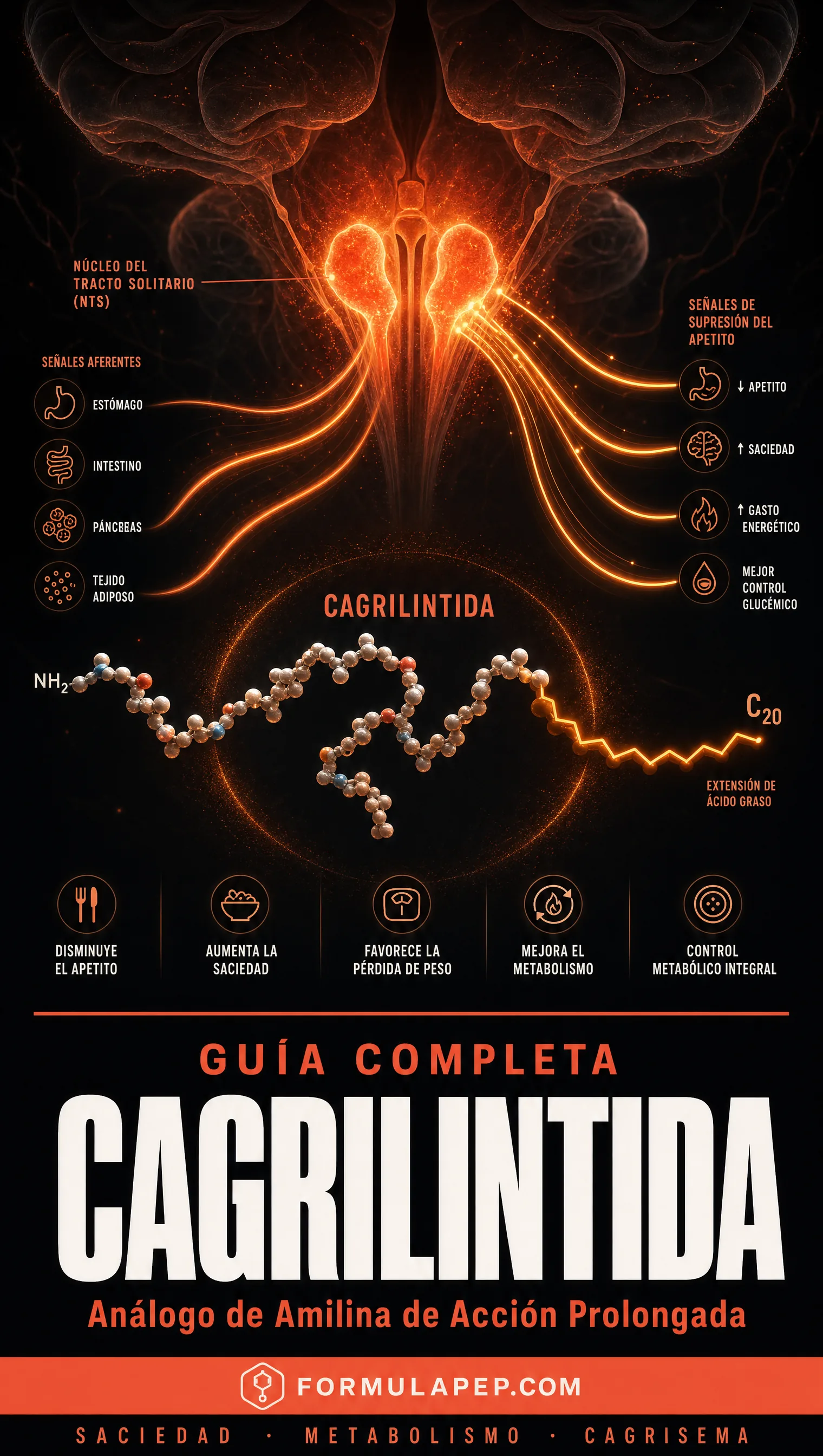 Portada Cagrilintida