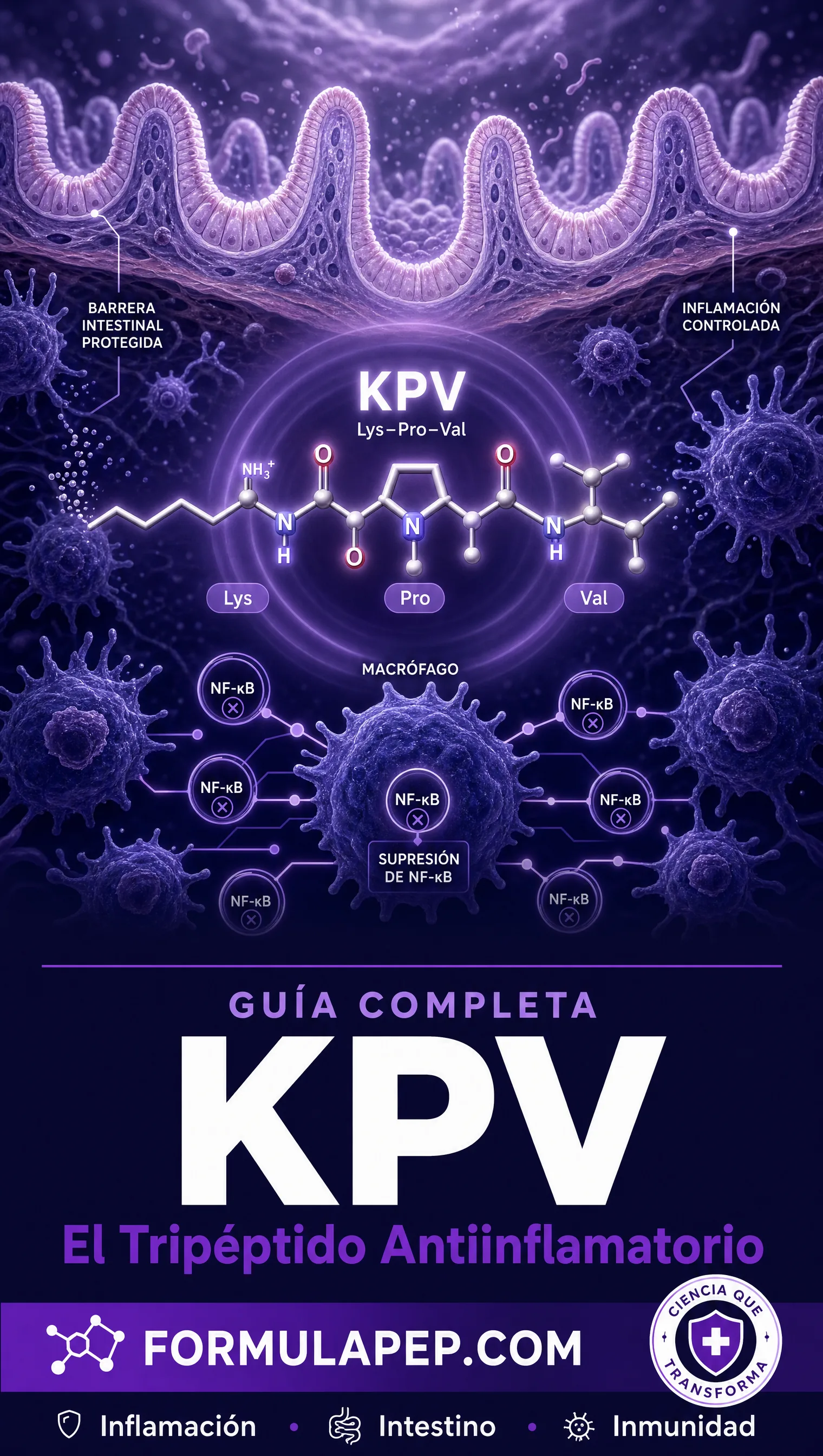 Portada KPV